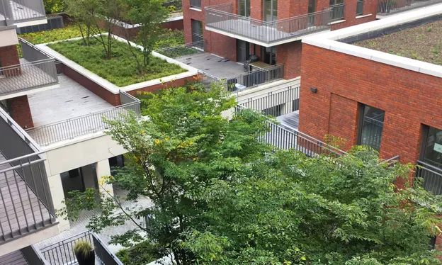 Toits verts des appartements