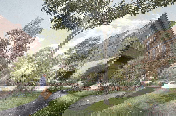 Boom in het midden van de tuin van De Porre