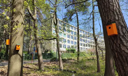 De groene omgeving rond het voormalig woonzorgcentrum Herfstvreugde. 