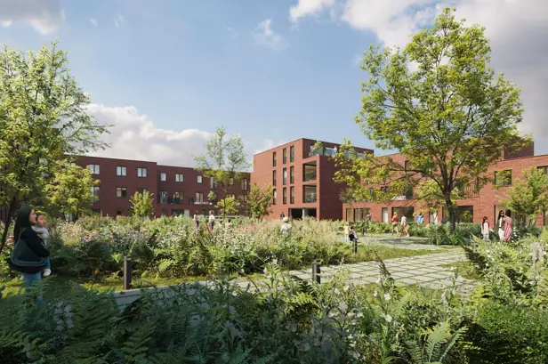 Gemeenschappelijke tuin in Aalst Pier Kornel