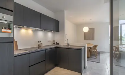 afgewerkt appartement in de heilig hartwijk - keuken met donkere materialen, veel lichtinval via het aangrenzende terras
