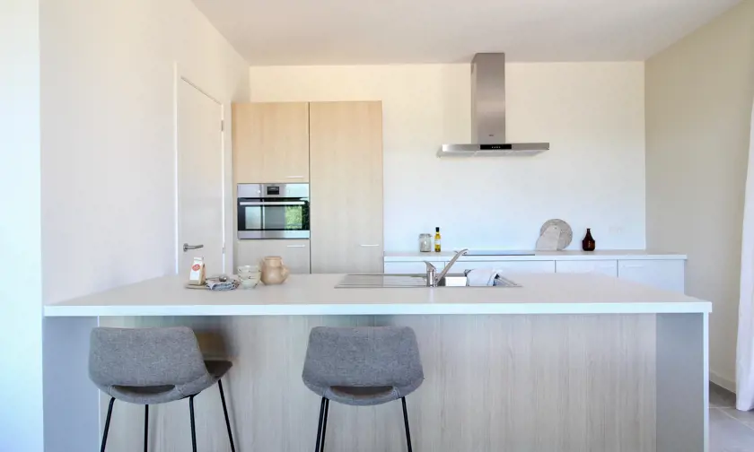 Geel Laar mooi interieur modern cementvloer keuken